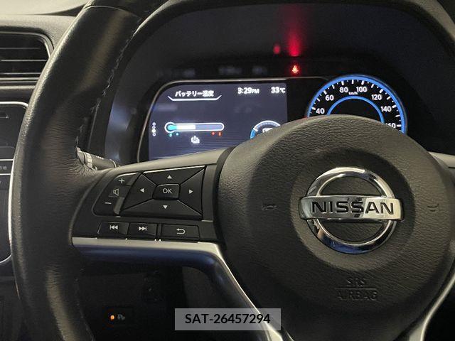 Nissan LEAF 2019-08 395442-21