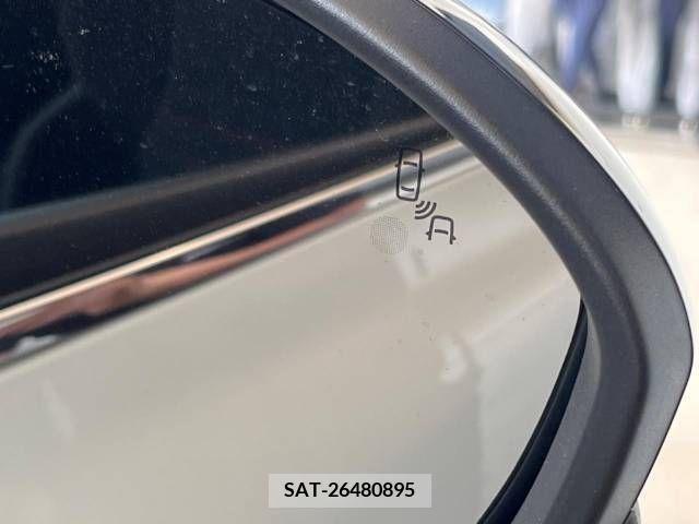 Renault MEGANE 2019-02 393648-7