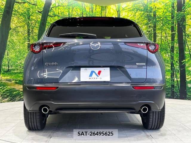 Mazda CX-30 2020-03 265986-15