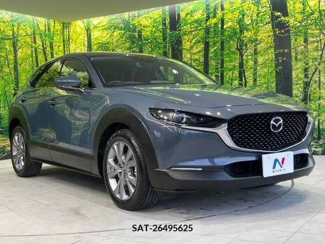 Mazda CX-30 2020-03 265986-16