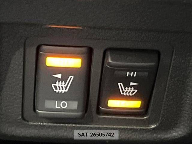 Nissan SERENA 2019-06 393876-6