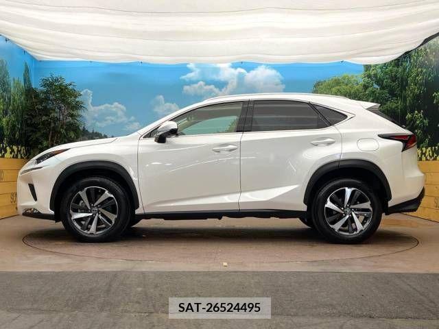 Lexus NX 2018-04 354037-16