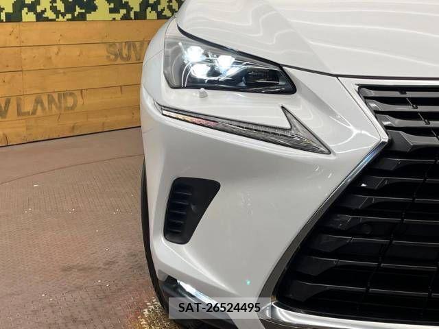 Lexus NX 2018-04 354037-12
