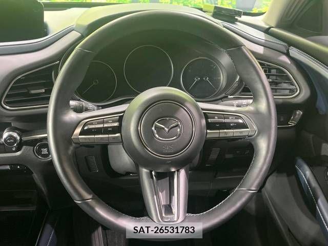 Mazda CX-30 2023-03 210536-11