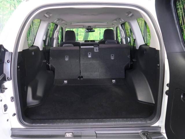Toyota PRADO 2020-01 21176-10