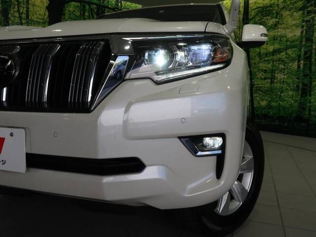 Toyota PRADO 2020-01 21176-12