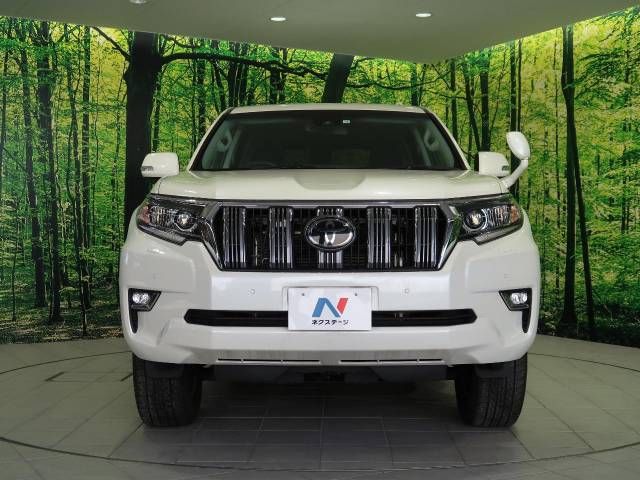 Toyota PRADO 2020-01 21176-14