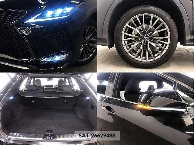 Lexus RX 2019-11 275738-7