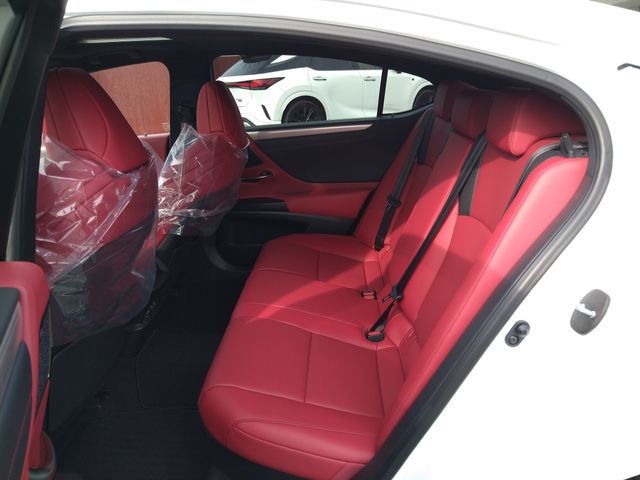Lexus ES 2019-03 184701-25