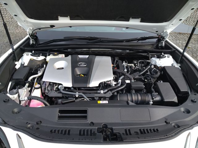Lexus ES 2019-03 184701-27