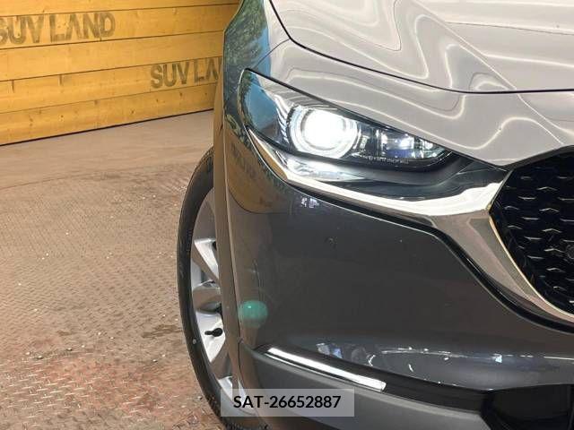 Mazda CX-30 2020-03 265591-12