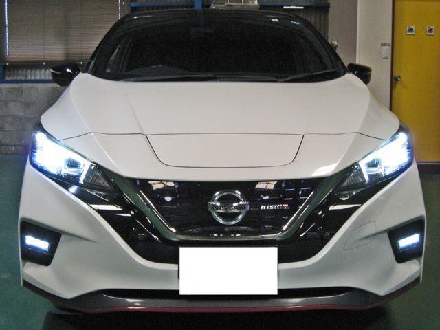 Nissan LEAF 2018-10 6187-9