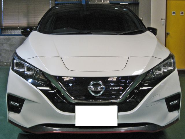 Nissan LEAF 2018-10 6187-7