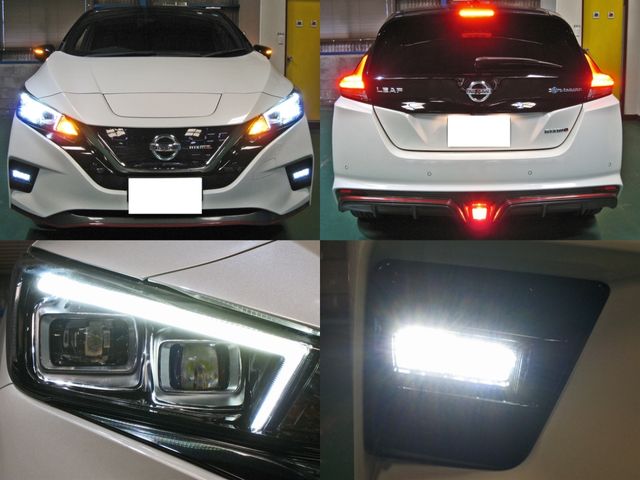 Nissan LEAF 2018-10 6187-12