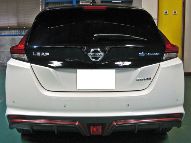 Nissan LEAF 2018-10 6187-8