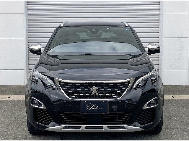 Peugeot 3008 2019-04 13528-18