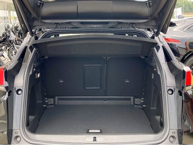 Peugeot 3008 2019-04 13528-13