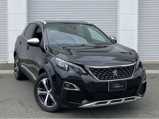 Peugeot 3008 2019-04 13528-15