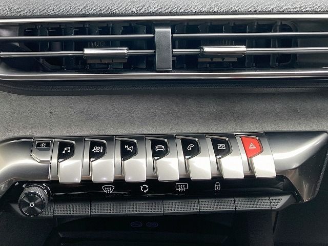 Peugeot 3008 2019-04 13528-8