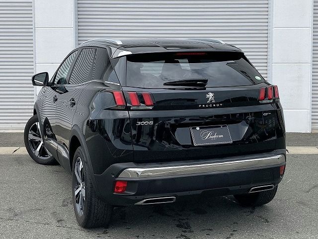 Peugeot 3008 2019-04 13528-16