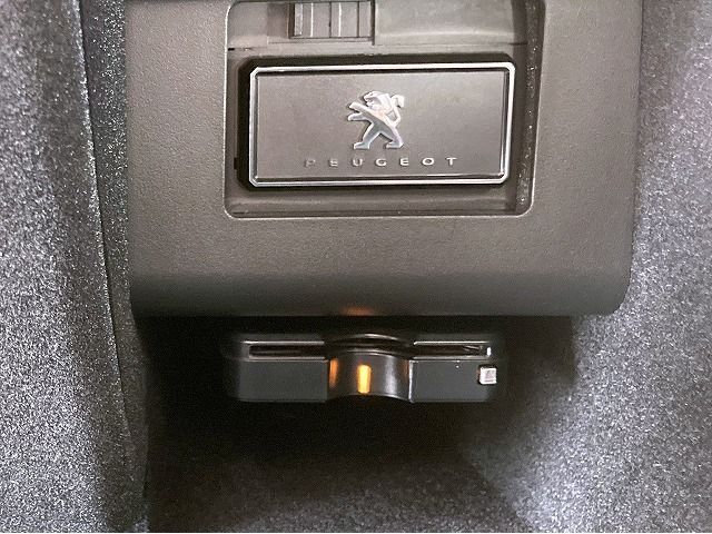 Peugeot 3008 2019-04 13528-9