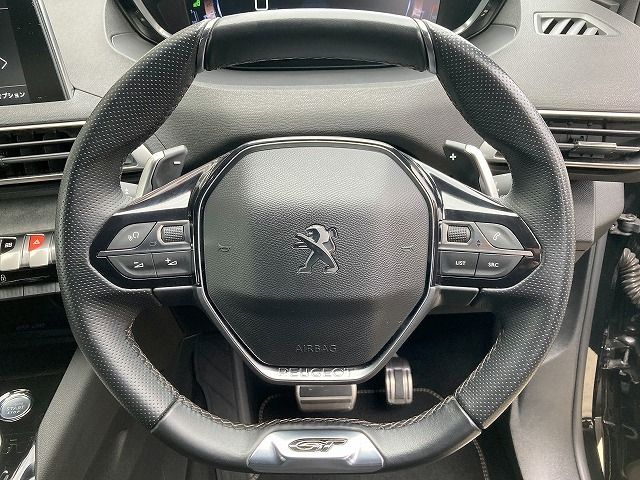Peugeot 3008 2019-04 13528-10