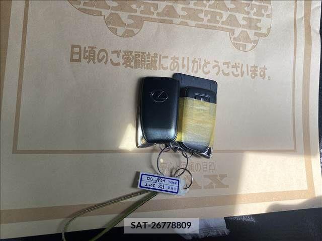 Lexus RX 2017-11 388207-18