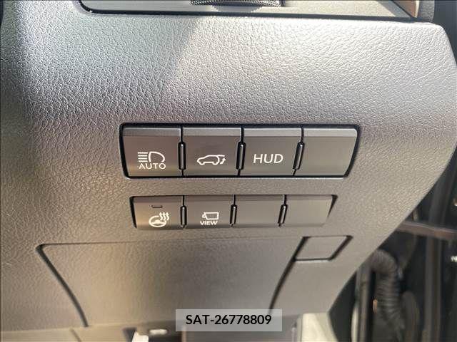 Lexus RX 2017-11 388207-10