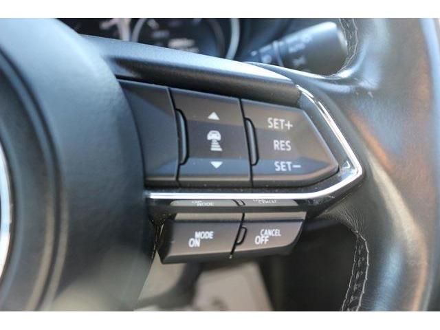 Mazda CX-8 2018-08 24692-12