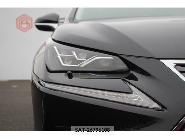 Lexus NX 2019-09 275596-11
