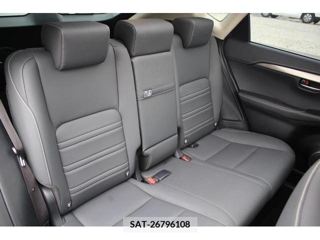 Lexus NX 2019-09 275596-16
