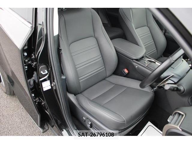 Lexus NX 2019-09 275596-15