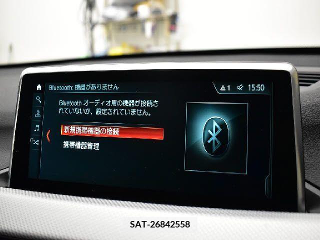 Bmw X1 2019-06 209590-11