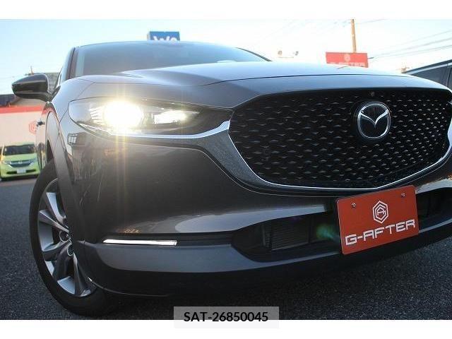 Mazda CX-30 2019-11 203387-10