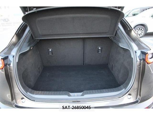 Mazda CX-30 2019-11 203387-16