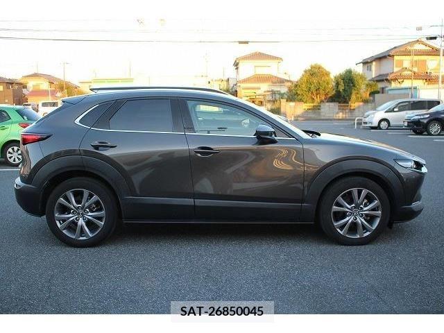 Mazda CX-30 2019-11 203387-8