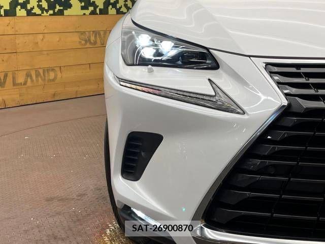 Lexus NX 2018-04 388288-12