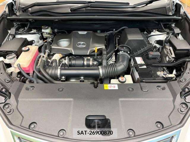 Lexus NX 2018-04 388288-19