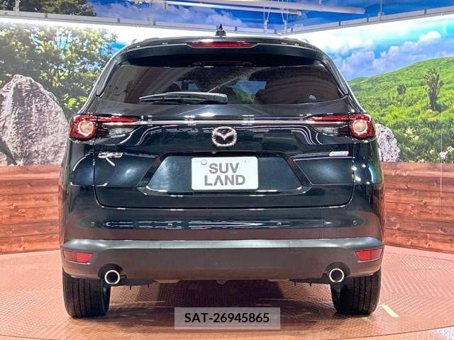 Mazda CX-8 2018-07 209109-15
