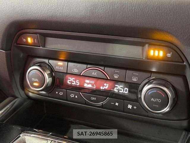 Mazda CX-8 2018-07 209109-6