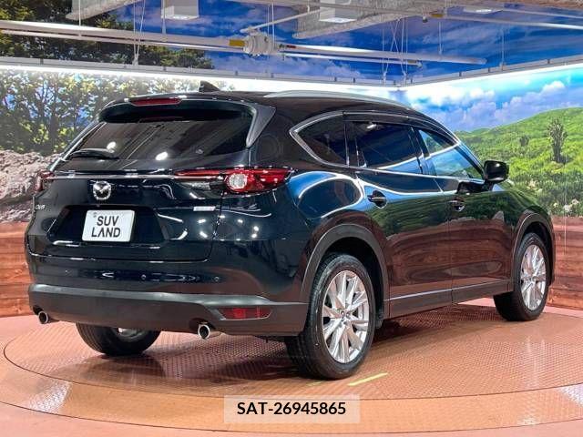 Mazda CX-8 2018-07 209109-17