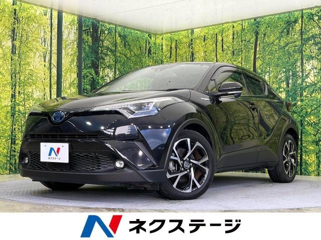 Toyota C-HR 2019-03 195783-0