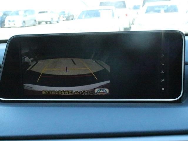 Lexus RX 2016-02 23642-2