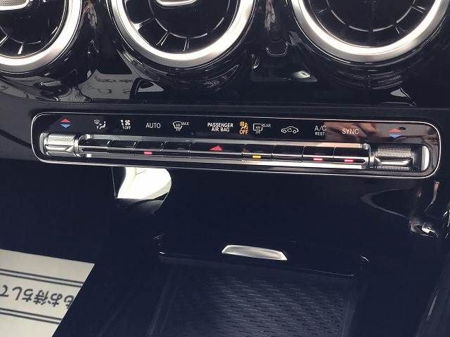 Mercedes Benz A-CLASS 2020-02 193570-13
