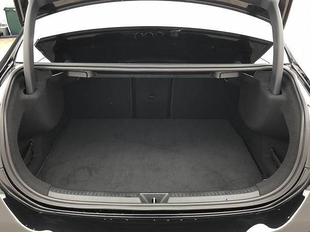Mercedes Benz A-CLASS 2020-02 193570-19