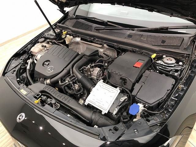 Mercedes Benz A-CLASS 2020-02 193570-15