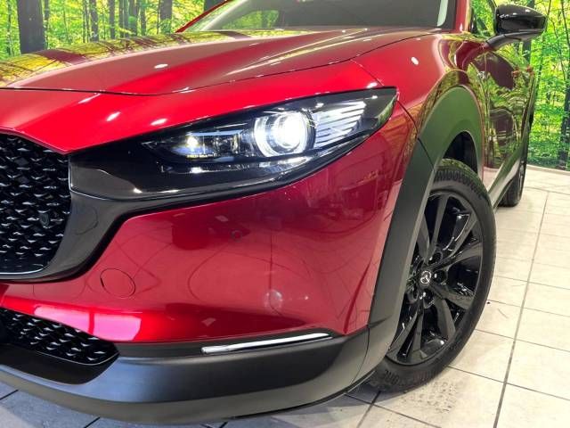 Mazda CX-30 2021-12 189604-12