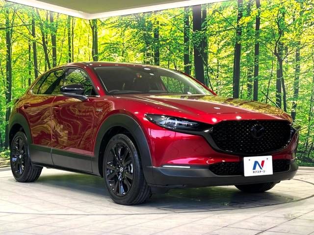 Mazda CX-30 2021-12 189604-16
