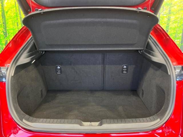 Mazda CX-30 2021-12 189604-10