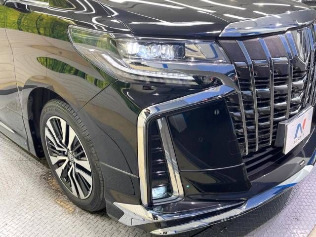 Toyota ALPHARD 2021-02 184918-12